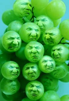 Sour