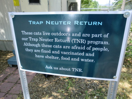 tnr-sign.JPG Tnr sign